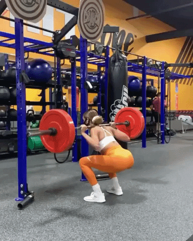 Barbell Back Squats