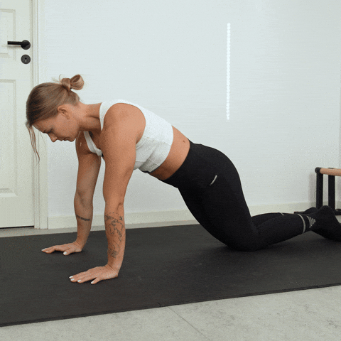 Plank with Shoulder Taps