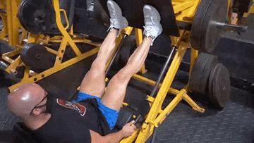 Leg Press