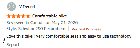 Schwinn 290 Recumbent Bike