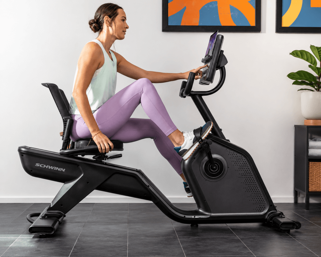 Schwinn 290 Recumbent Bike