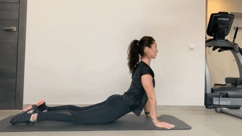 Cobra Stretch